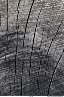 Wood Bare 0013